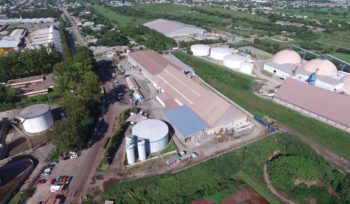 terminales-y-servicios-background