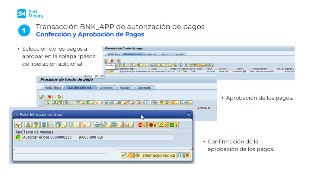 Transacción BNK_APP de autorización de pagos