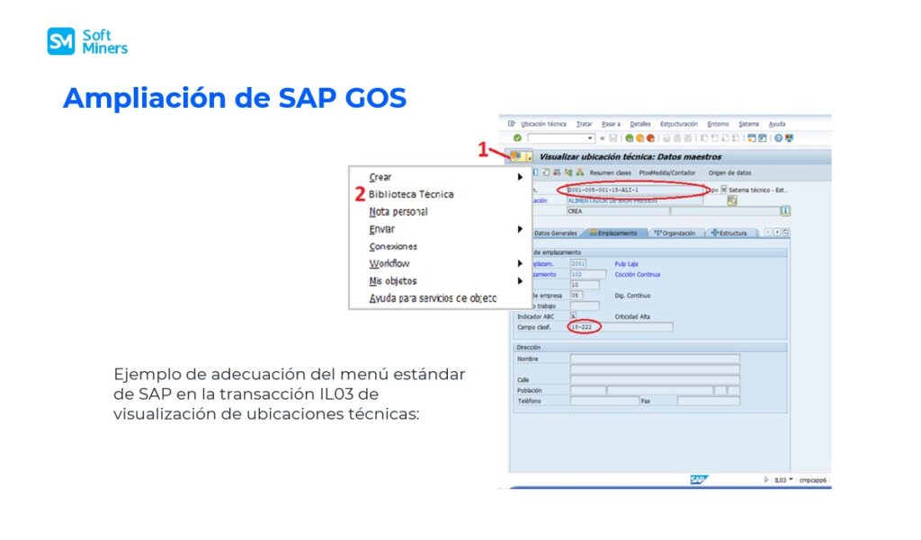 Ampliación de SAP GOS 2